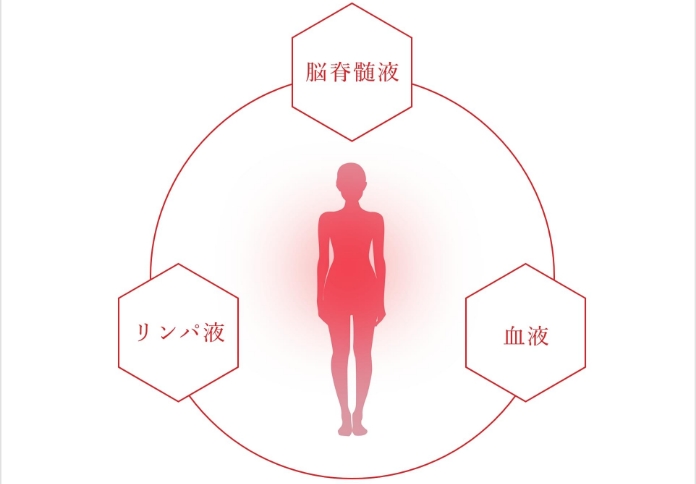 Revi-Cell® Body - 日本未病ケア予防医学協会 | 女性のお悩み（フェムケア）を解決する技術や知識（フェムテック）を提供